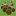 FarmSpice